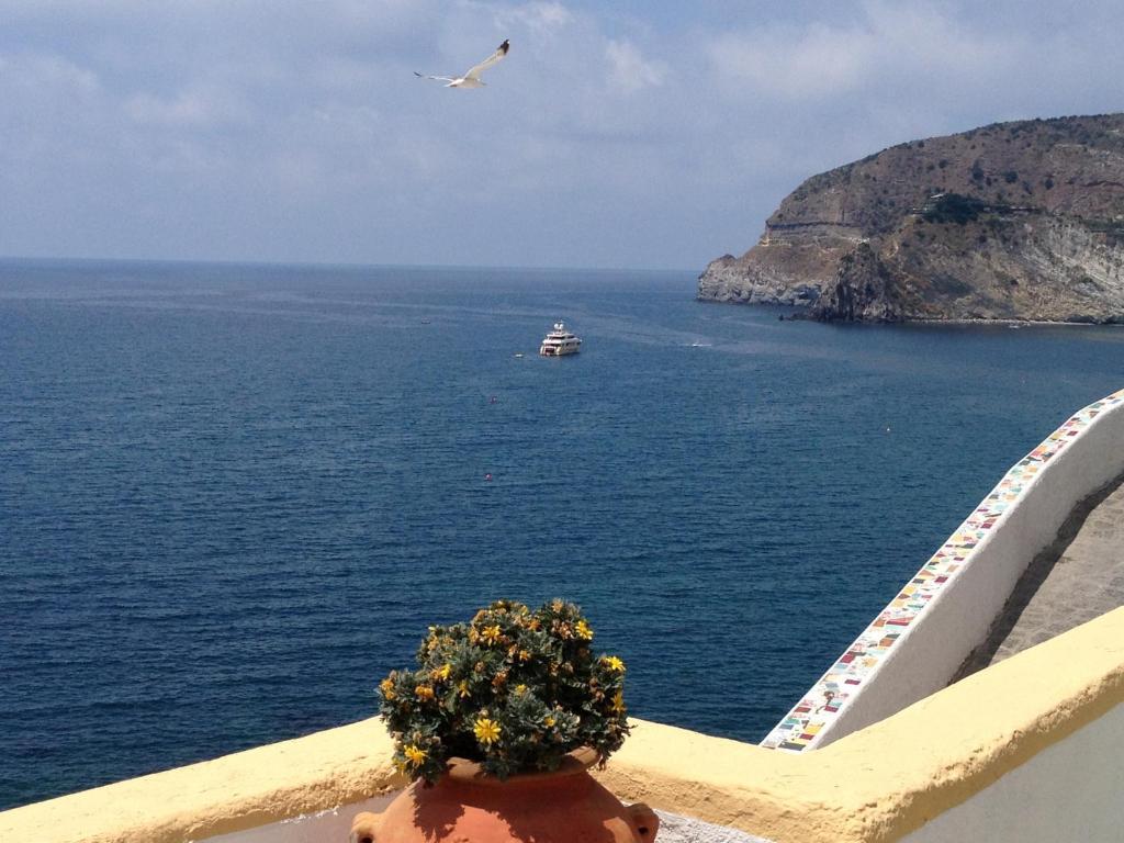 Appartamenti Casa Del Sole Sant'Angelo  Eksteriør bilde